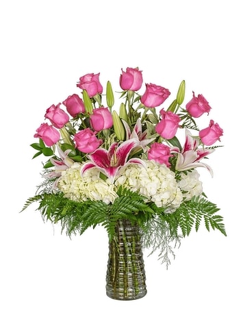 Inspired by the Stars