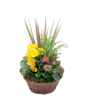 Bloomin' Sunshine Basket Flower Arrangement